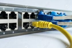 Network cable connect to switching hub in close up